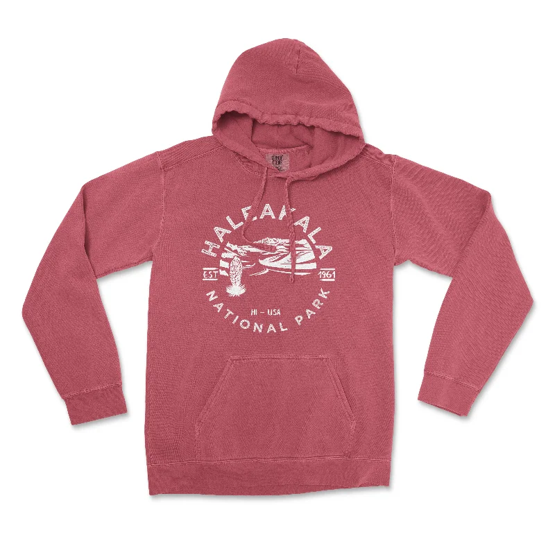 Haleakala National Park Comfort Colors Hoodie Modern Women's Tech
